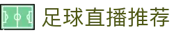 玩球体育视界：足球比赛直播、即时比分查询与赛前观察